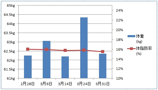 ダイエット1回目・6ヶ月目のグラフ